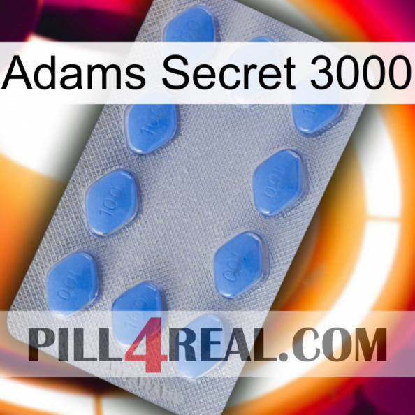 Adams Secret 3000 21